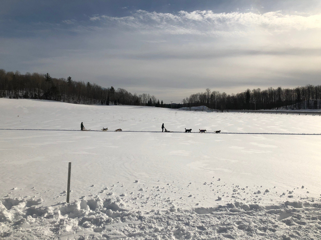 Ferme L'Aventure-Low必去景点