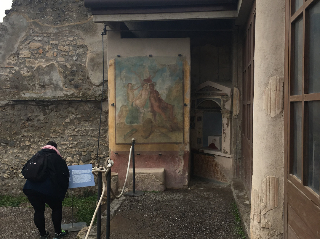 Casa dei Vettii景点图片