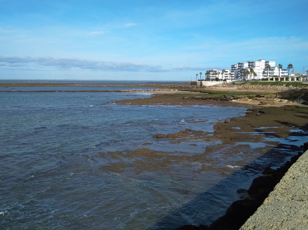Playa de las Canteras景点图片
