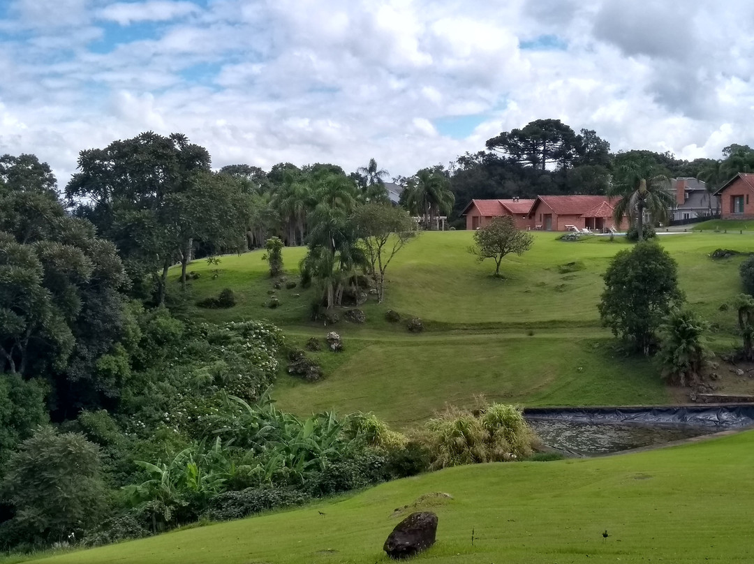 Pousada Recanto das Palmeiras主图