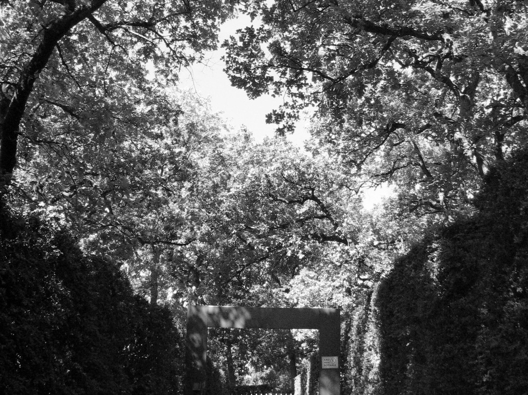 Chateau et Labyrinthe de Merville景点图片