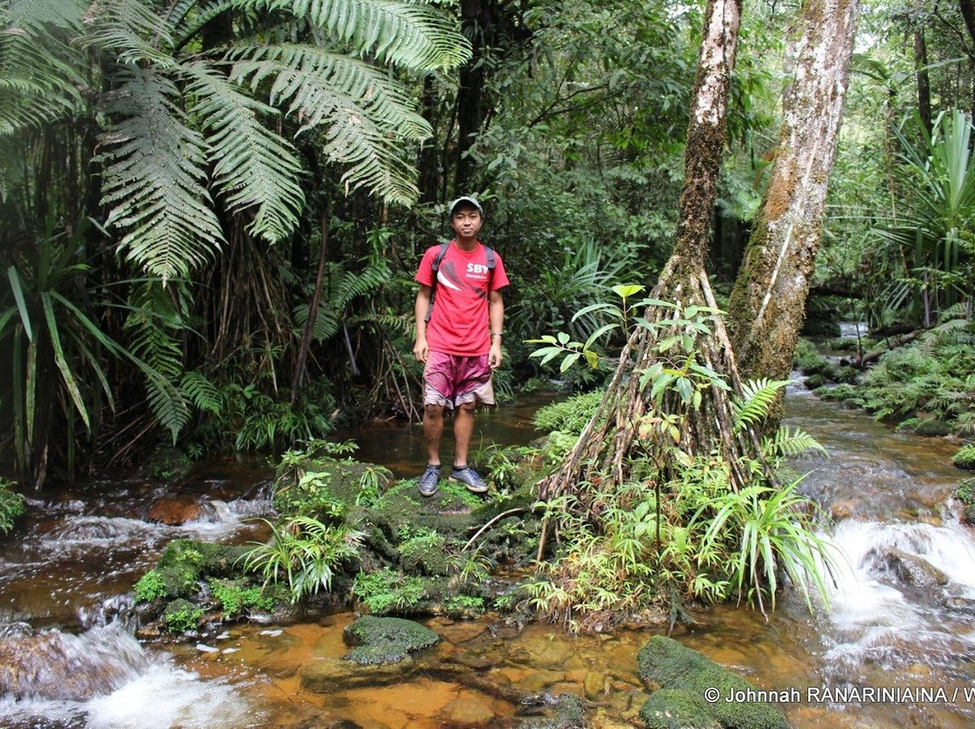 Makira Natural Park景点图片