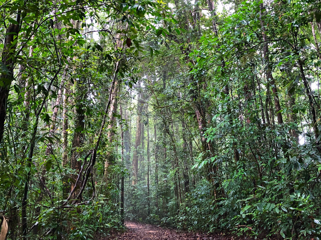Paluma and Crystal Creek Rainforest-Paluma必去景点