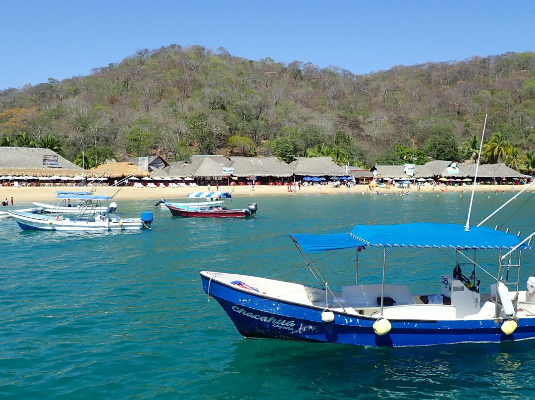 Bahía Maguey y el Órgano景点图片