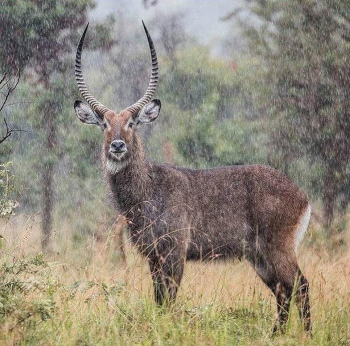 Vazquez Tours & Travel Ltd-吉佳利必去景点