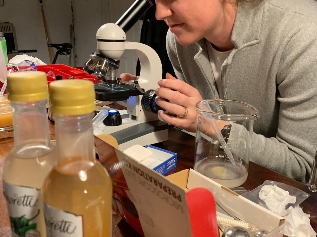 Brewery 99-新伯尔尼必去景点