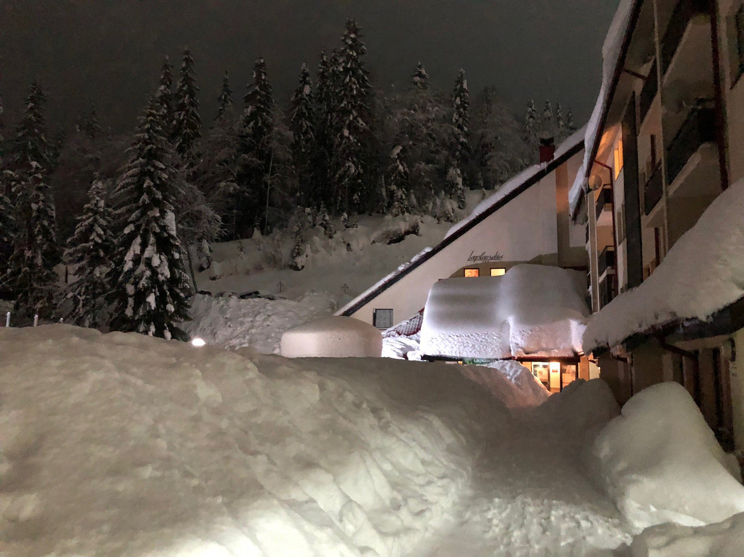 拉普兰酒店主图