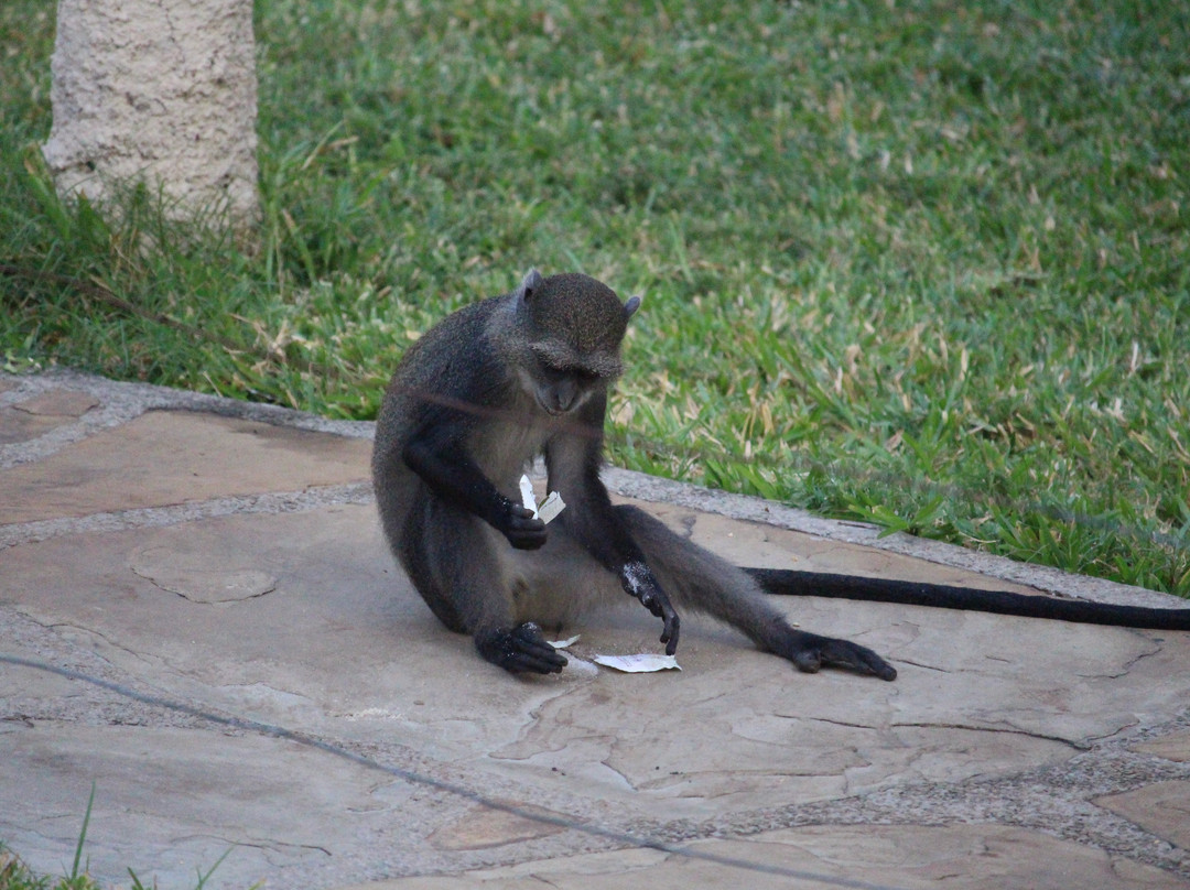 Neptune Village Beach Resort & Spa主图