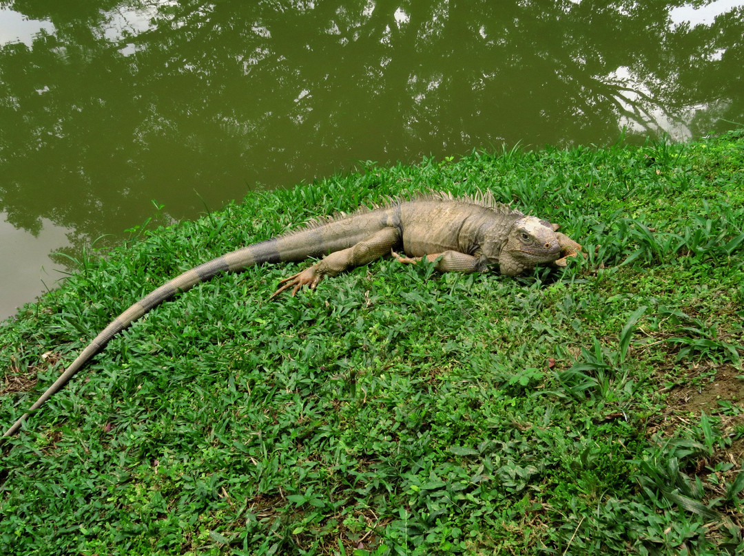 Los Colores Ecoparque主图