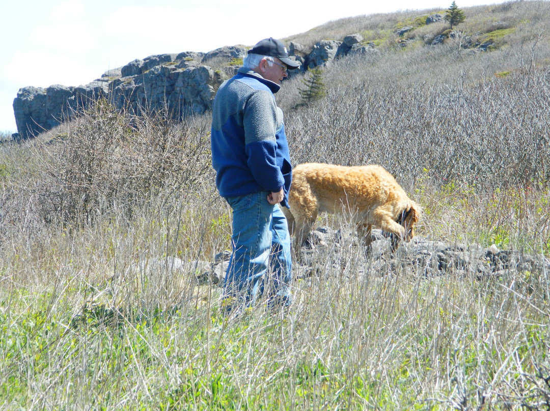 Fundy View Trail-Freeport必去景点