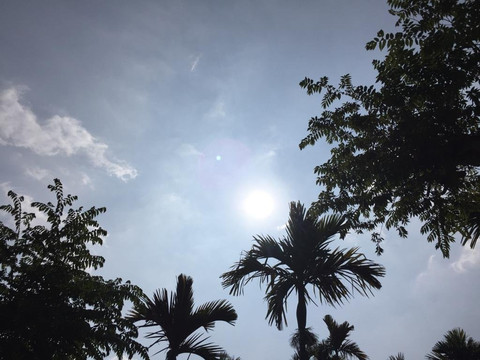 卡西塔酒店主图