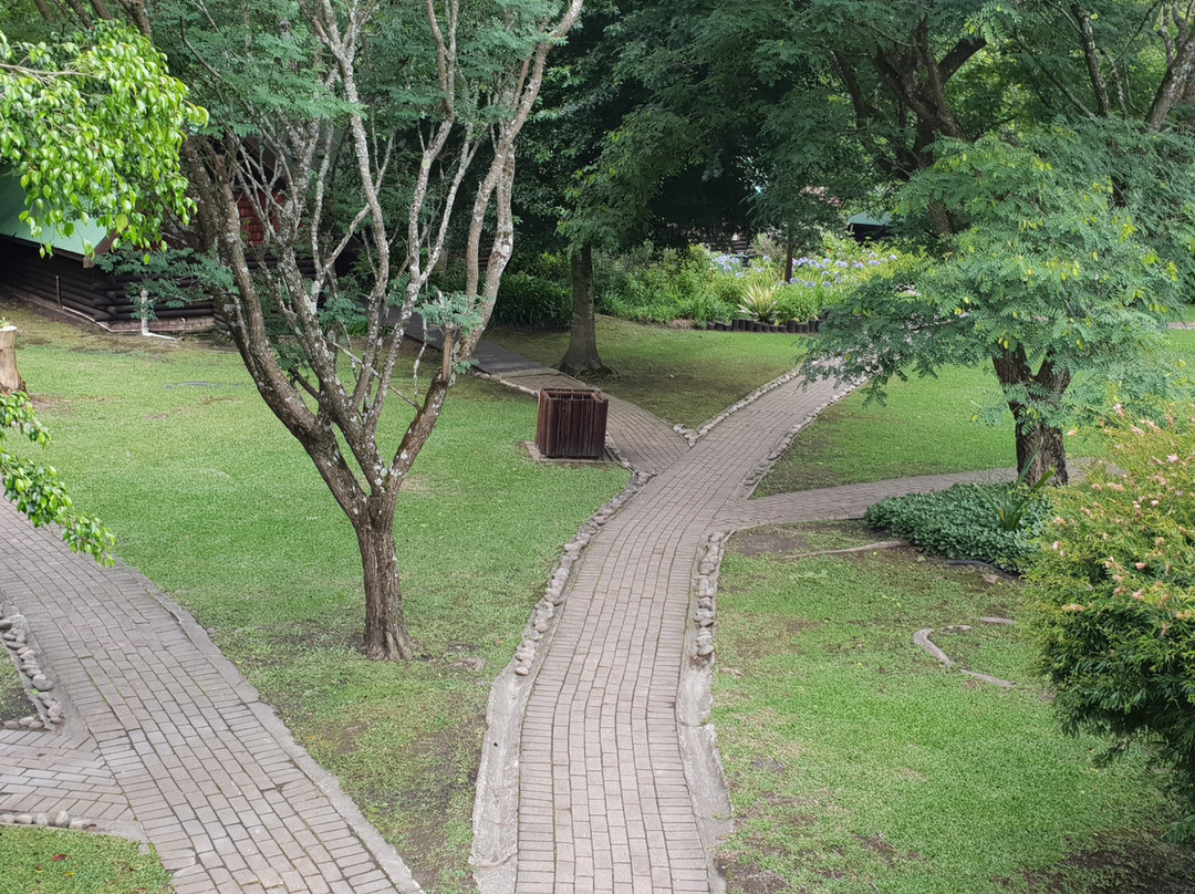 Tsitsikamma Lodge & Spa主图