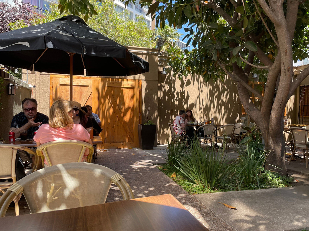 Cassis Viña Del Mar