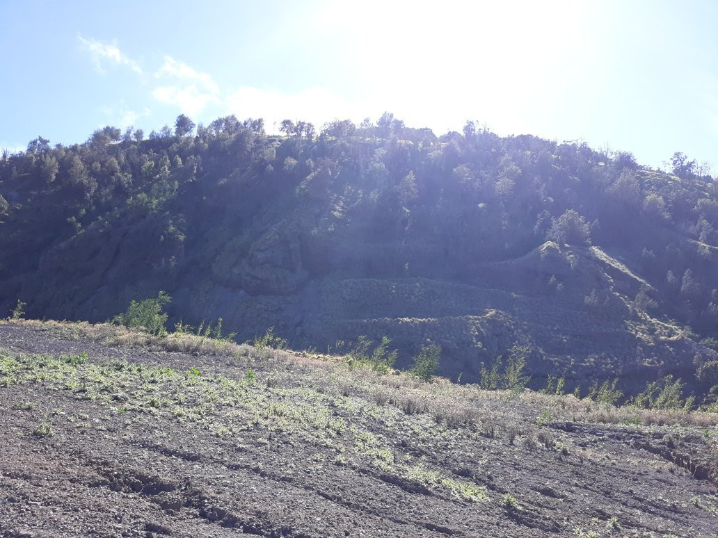Pu'u Wa'awa'a Forest Reserve景点图片