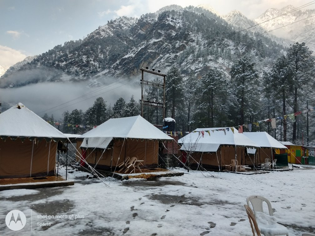 Odyssey Stays Parvati Woods Camps
