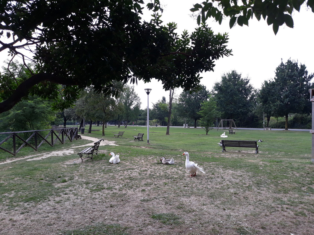 Parco Pertini景点图片