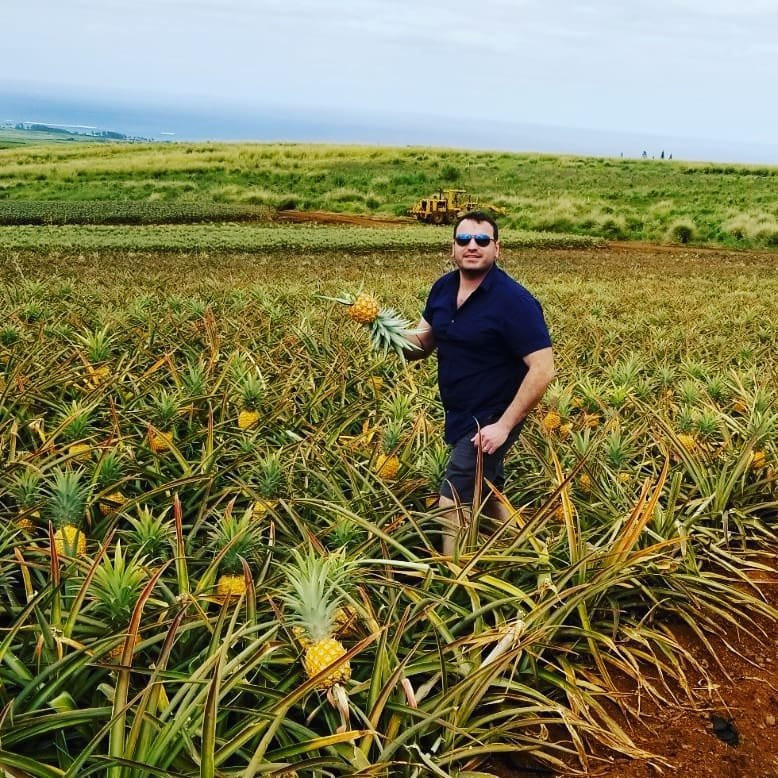 Maui Pineapple Tour景点图片