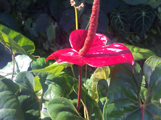 Out Of The Box Tours-古巴圣地亚哥必去景点