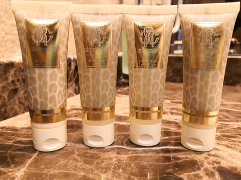 Pyramid Continental Hotel主图