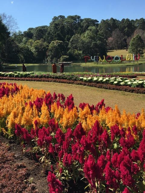 National Kandawgyi Botanical Gardens-彬乌伦必去景点