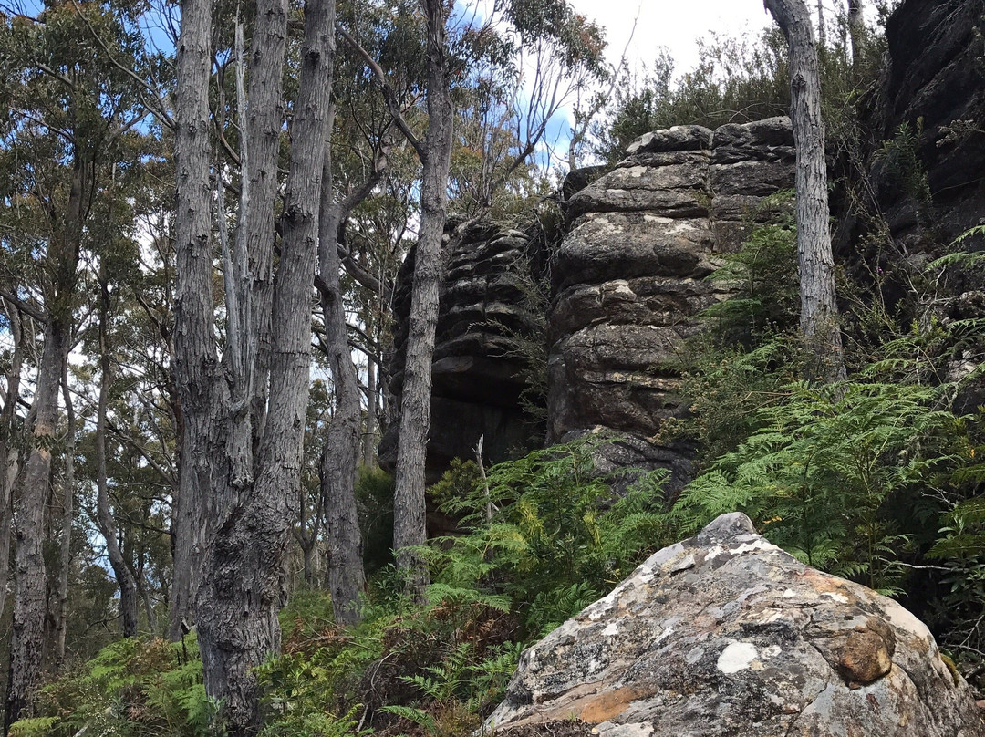 Mount Misery Walk-Huonville必去景点