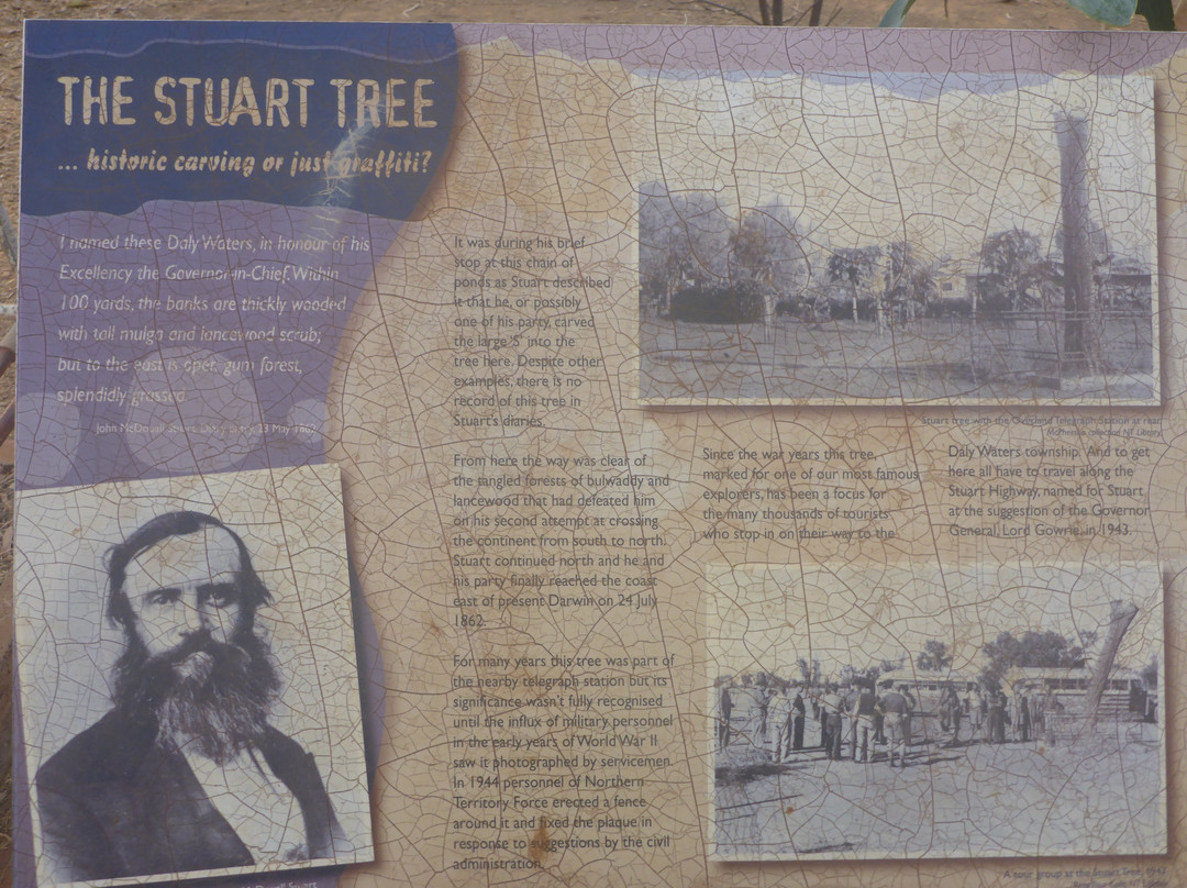 Stuart Tree Historic Site-Daly Waters必去景点