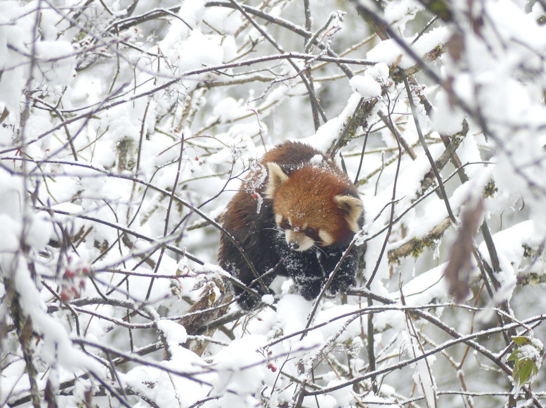 天全县旅游攻略图片