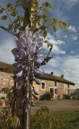 La Ferme de Corcelle景点图片