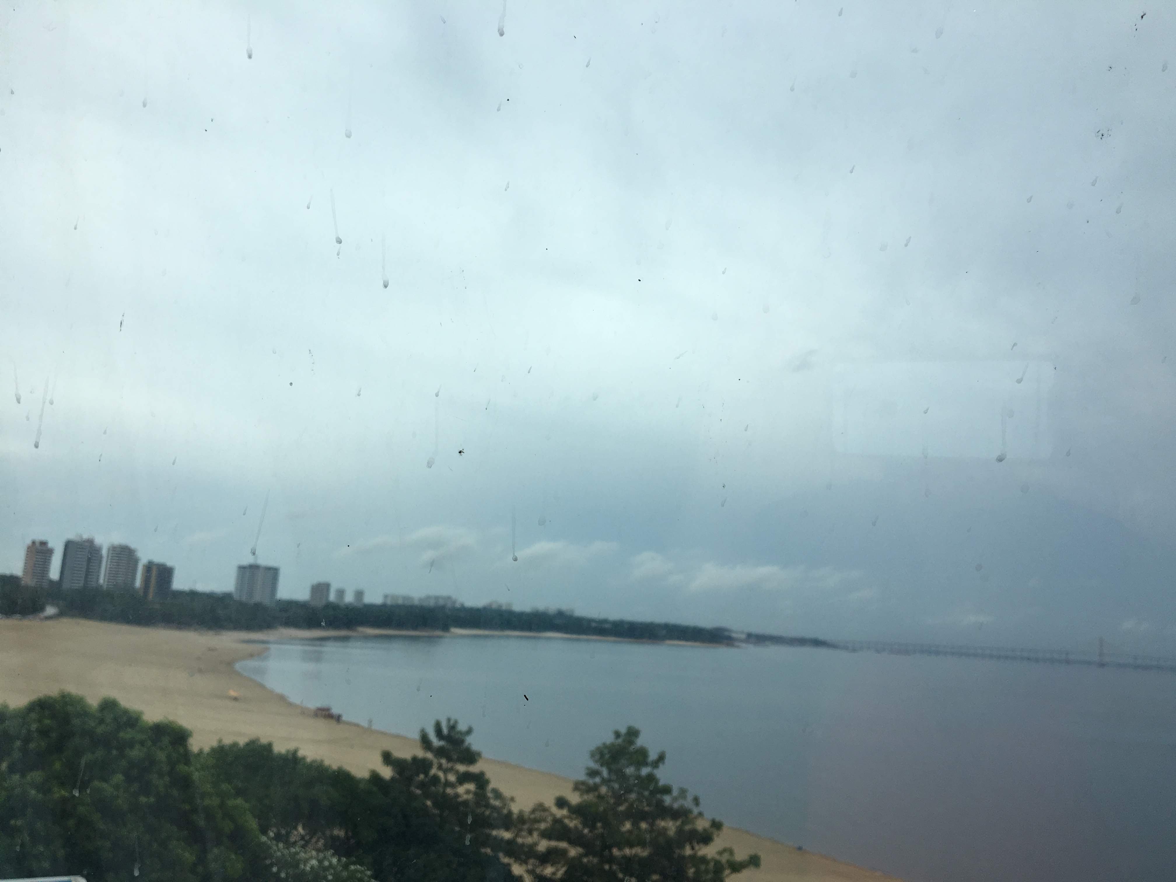 Tropical Executive Hotel-泳池