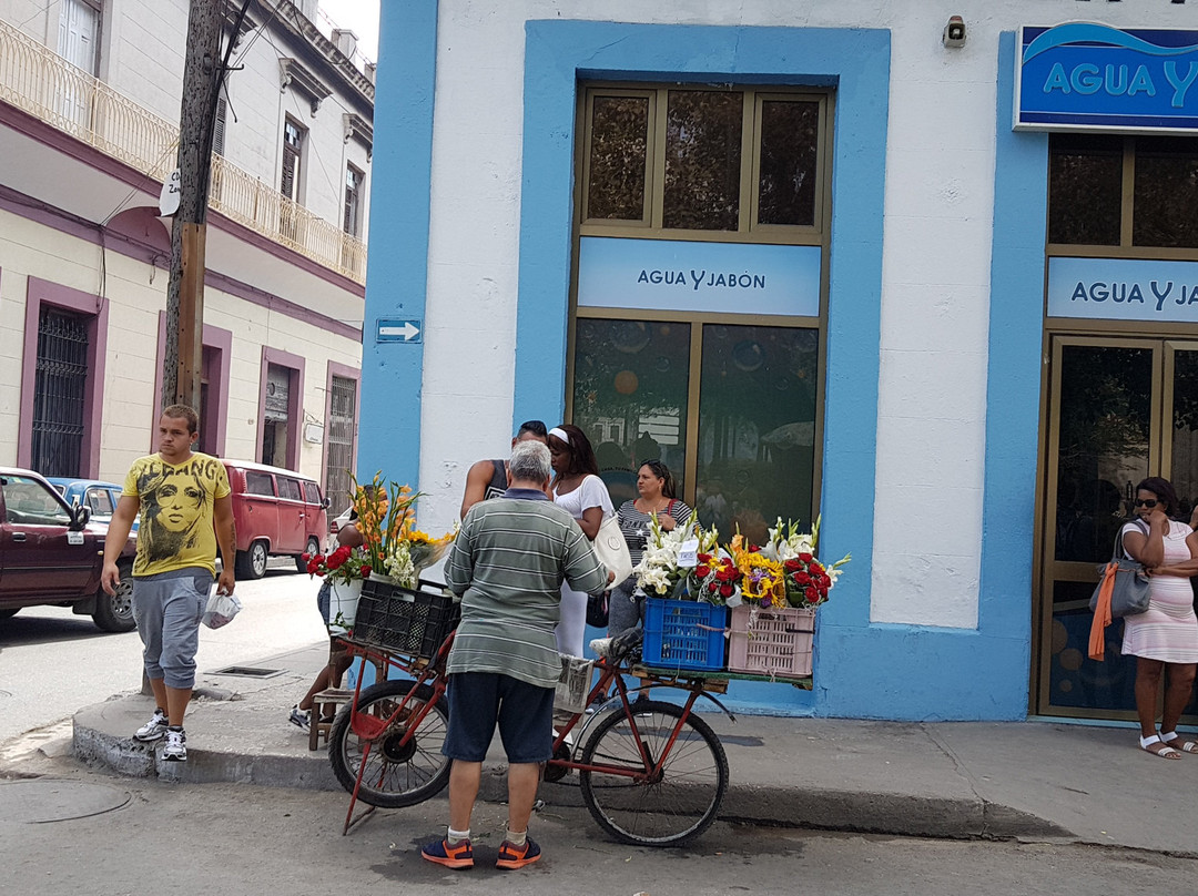 Casa Marianela y Luis主图
