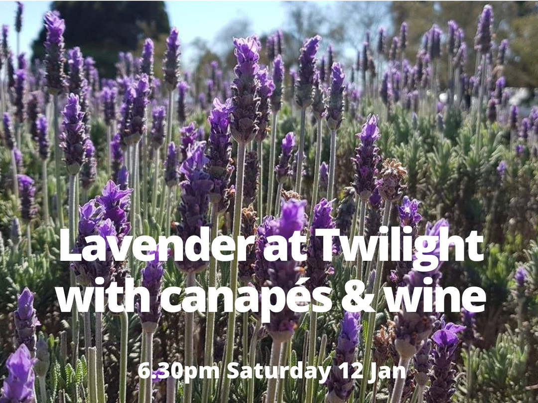Warratina Lavender Farm-Wandin North必去景点