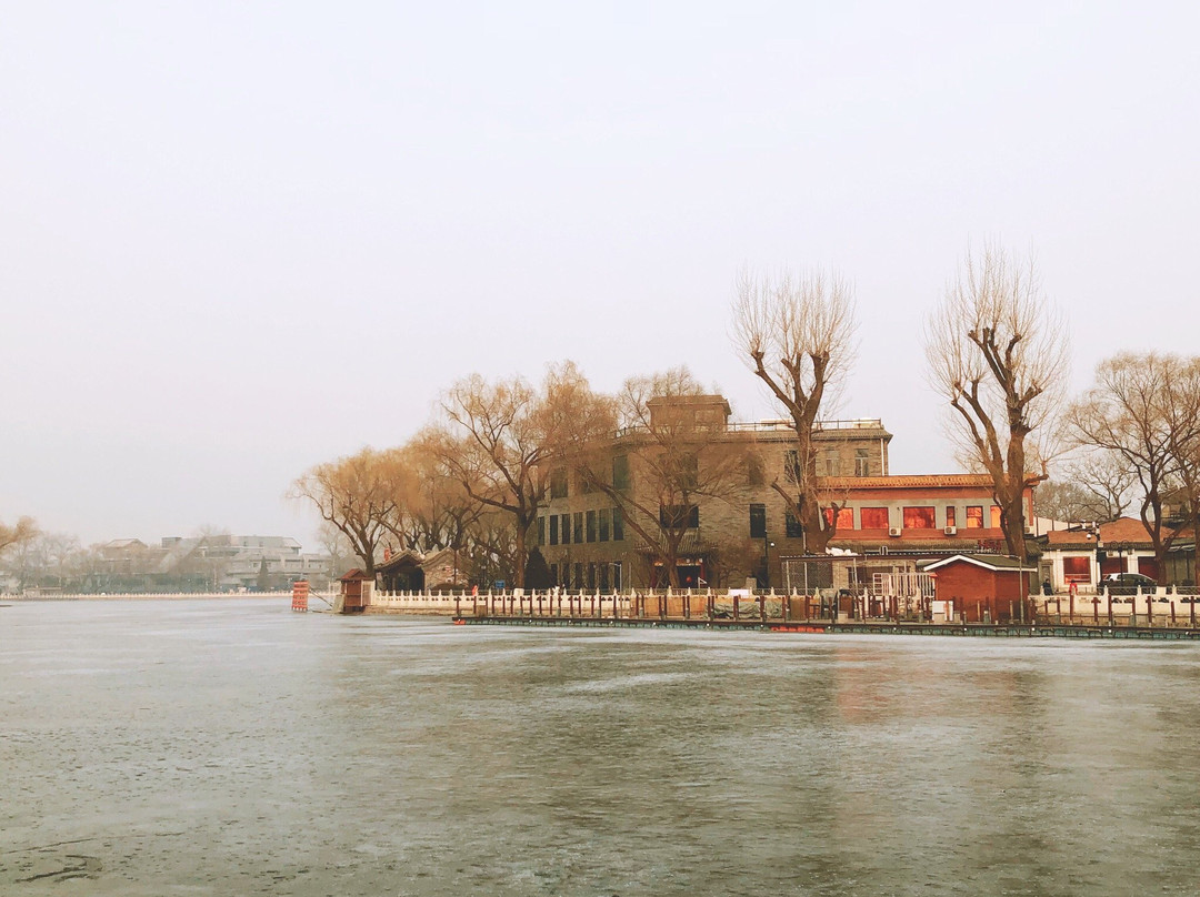 荷花市场-北京市必去景点
