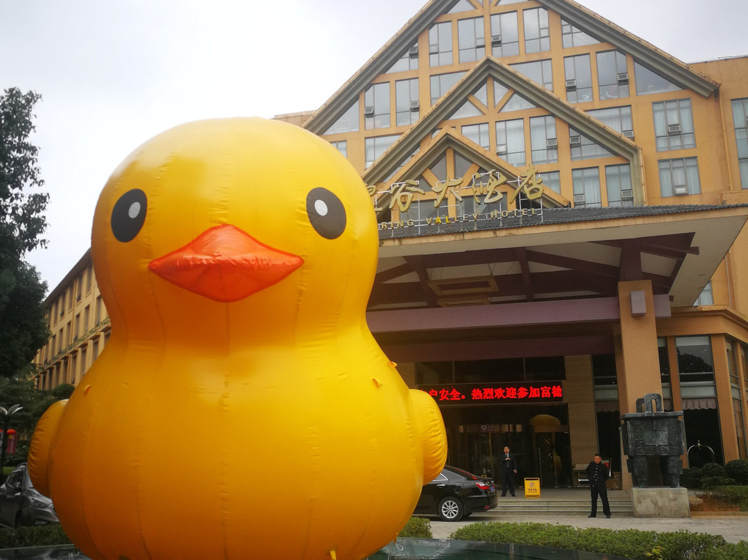 湖北省酒店住宿-温泉谷大酒店