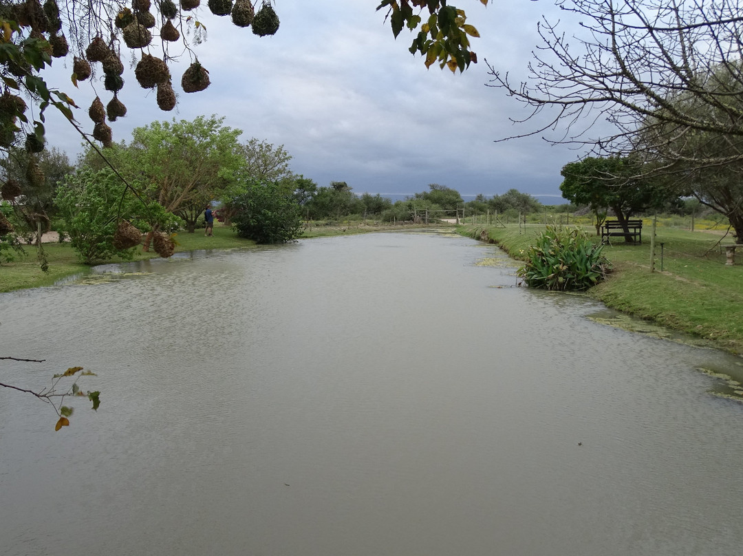 De Old Drift Guest Farm主图