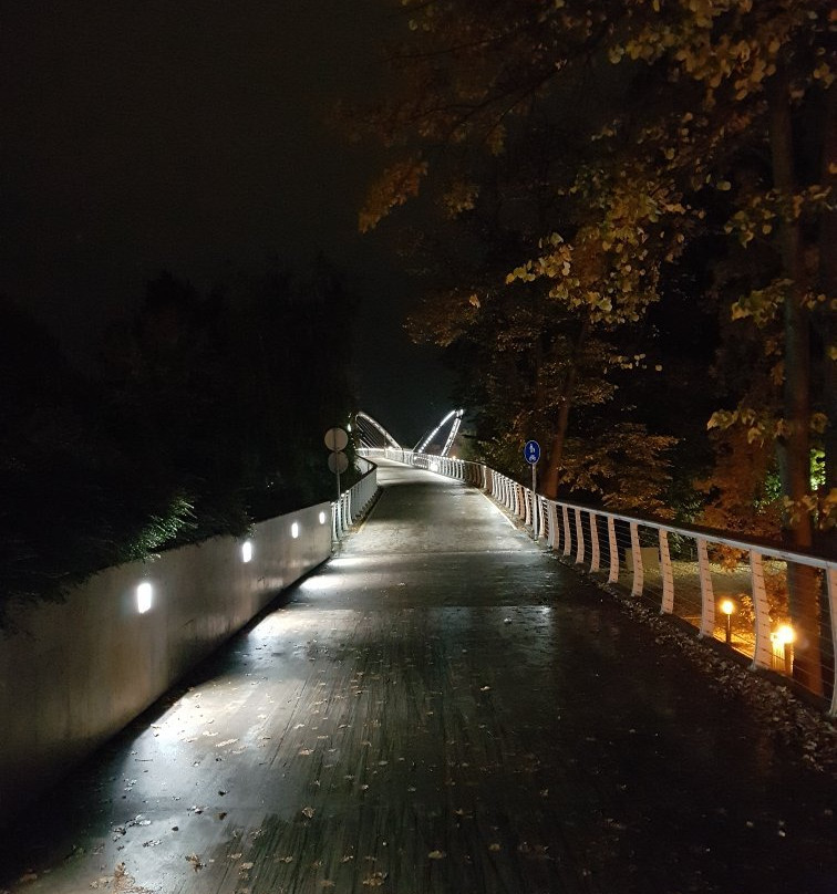 Tiszavirág Pedestrian Bridge-Szolnok必去景点