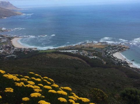 Hike Lion's Head (Cape Town)-开普敦中心区必去景点