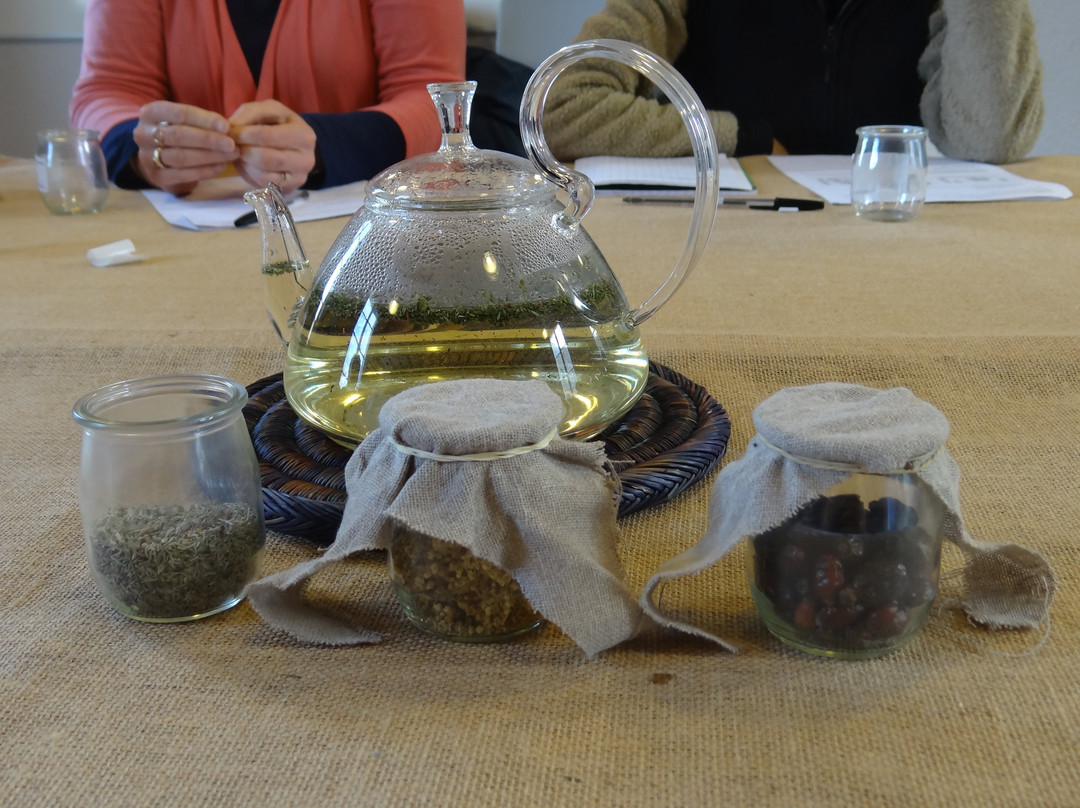 Le Conservatoire du Patrimoine de La Garde-Freinet-La Garde-Freinet必去景点