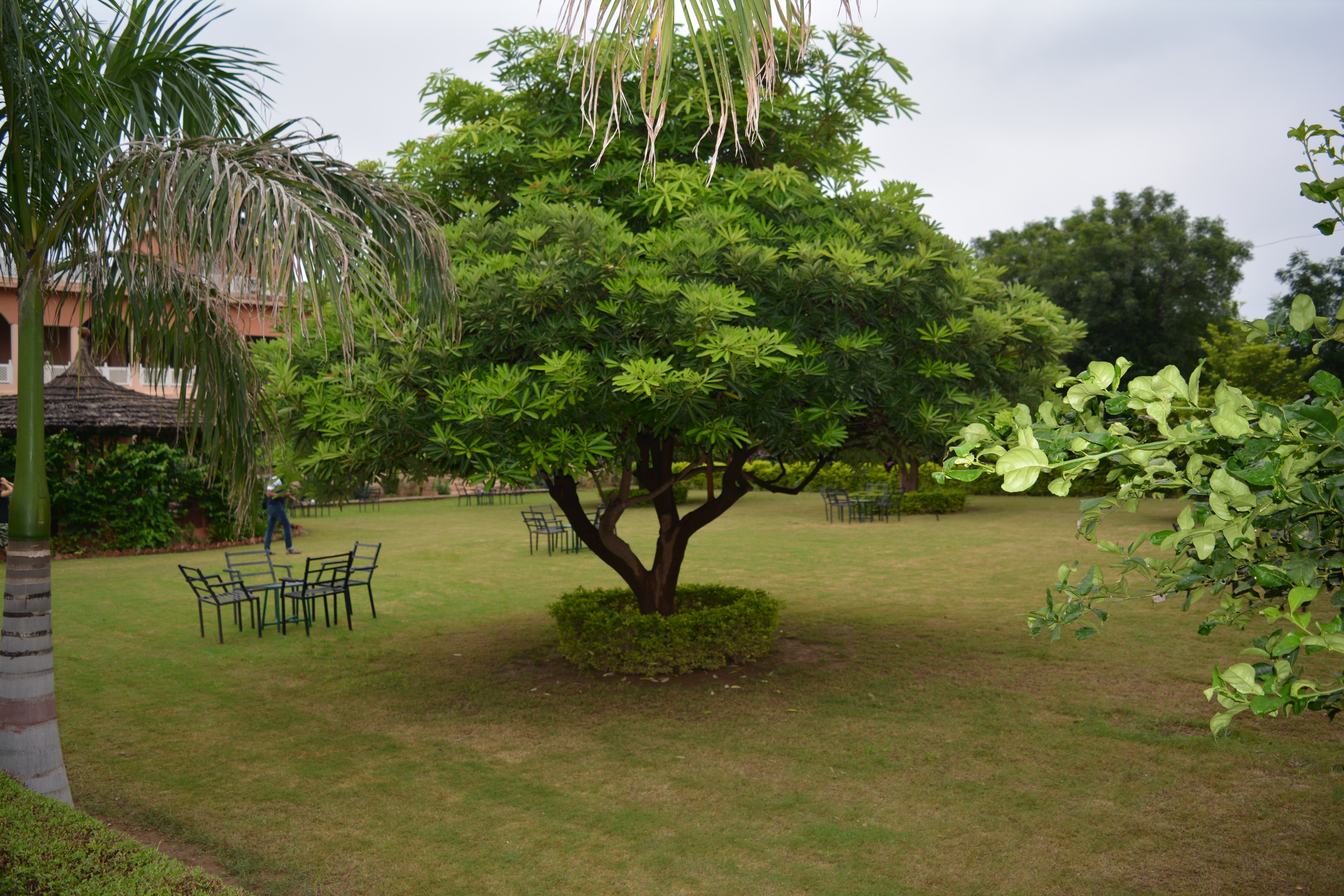 Sariska Tiger Camp Resort-浴室