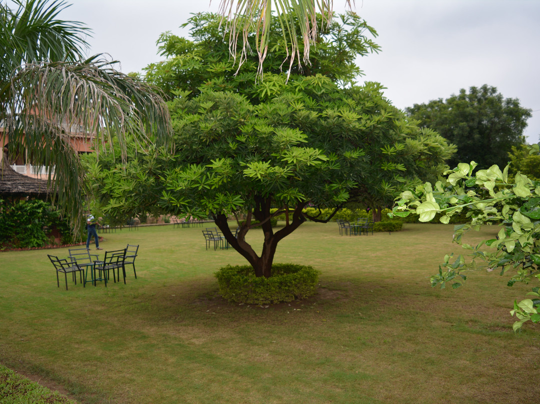 Sariska Tiger Camp Resort主图