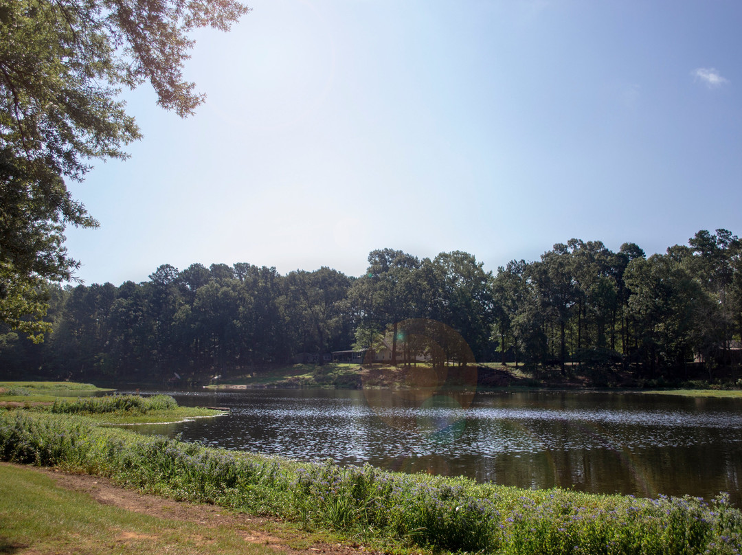 Millwood Landing RV Resort