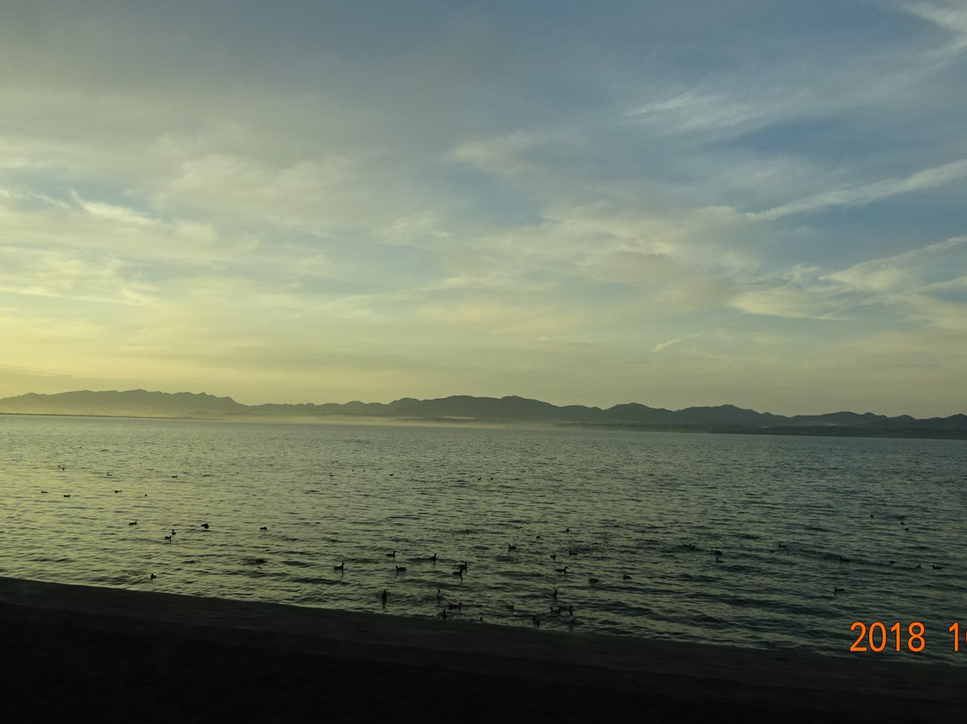 Shinji Lake景点图片