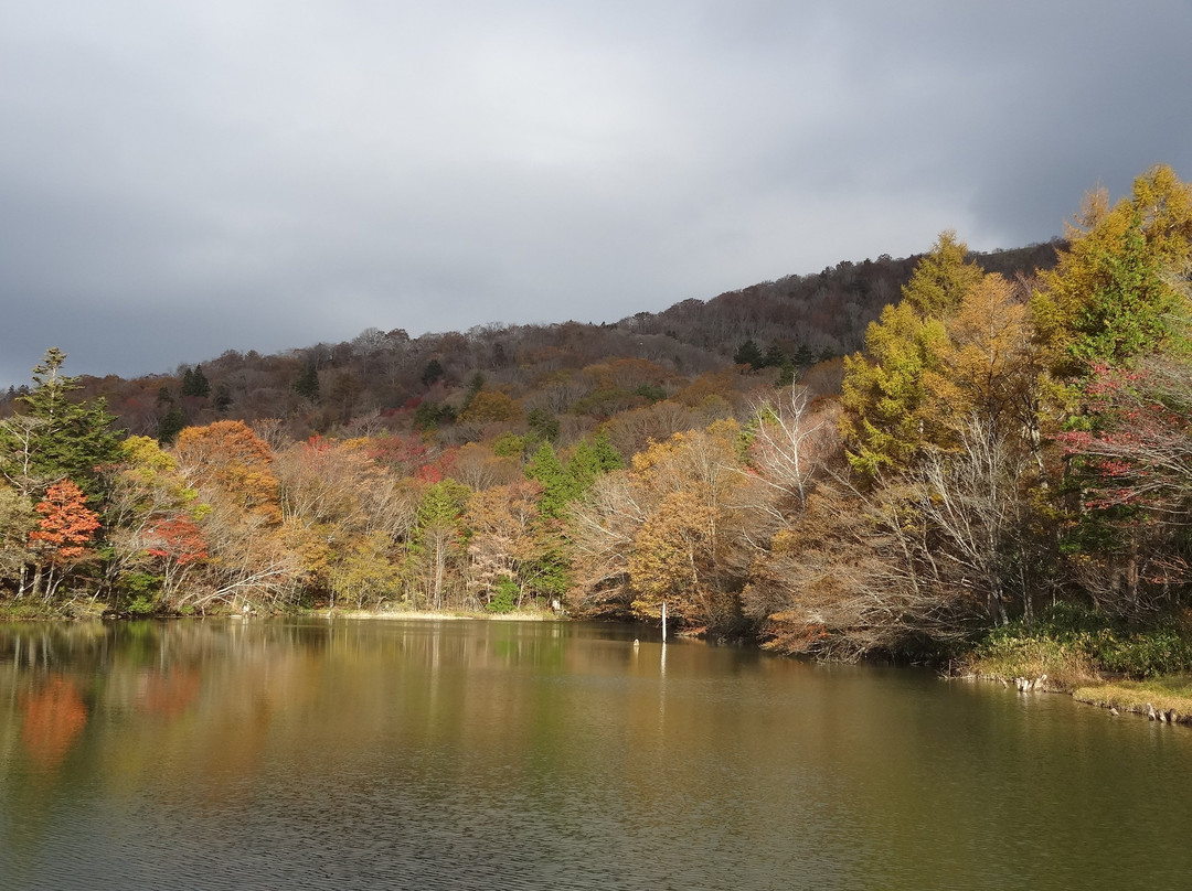 Chausuyama Plateau-丰根村必去景点