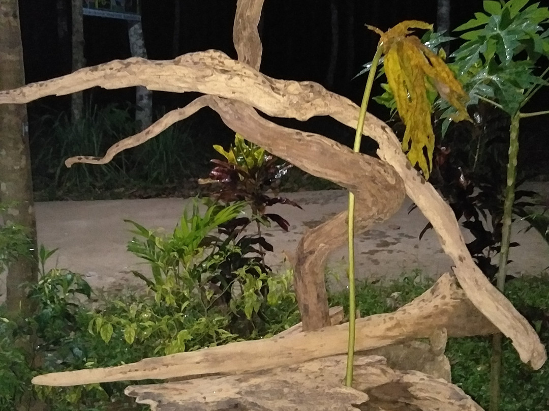 Forest Side Eco Lodge主图