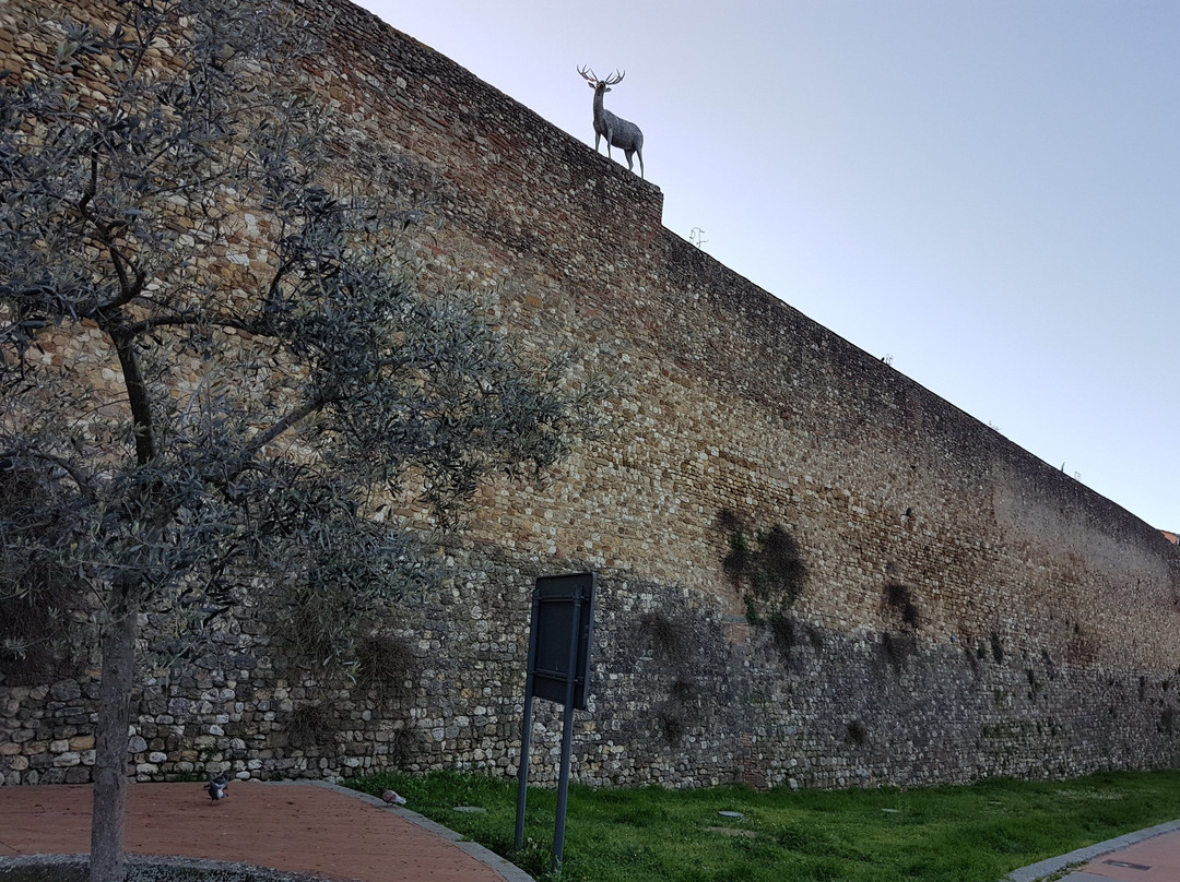 Mura di San Casciano景点图片