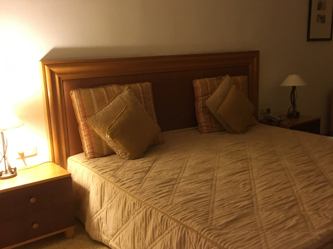 Les Oliviers Palace主图