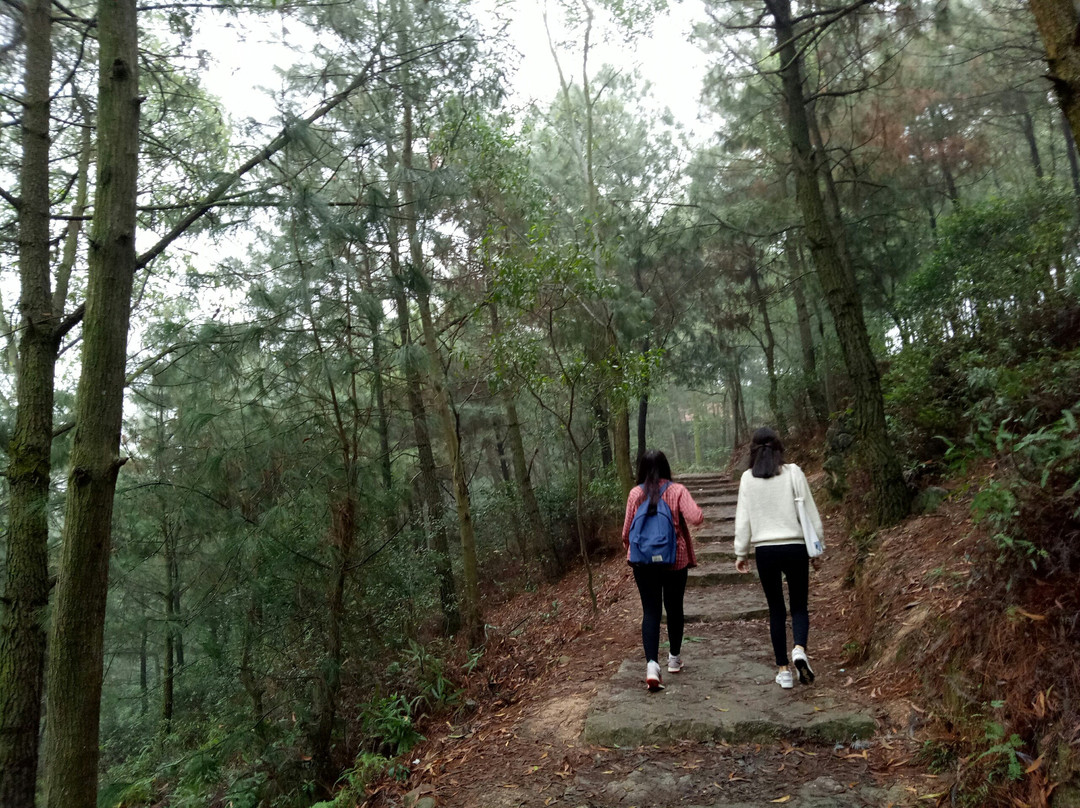 Quan Ba Tam Tour - Bac Giang Tourism-Thi tran Nenh必去景点