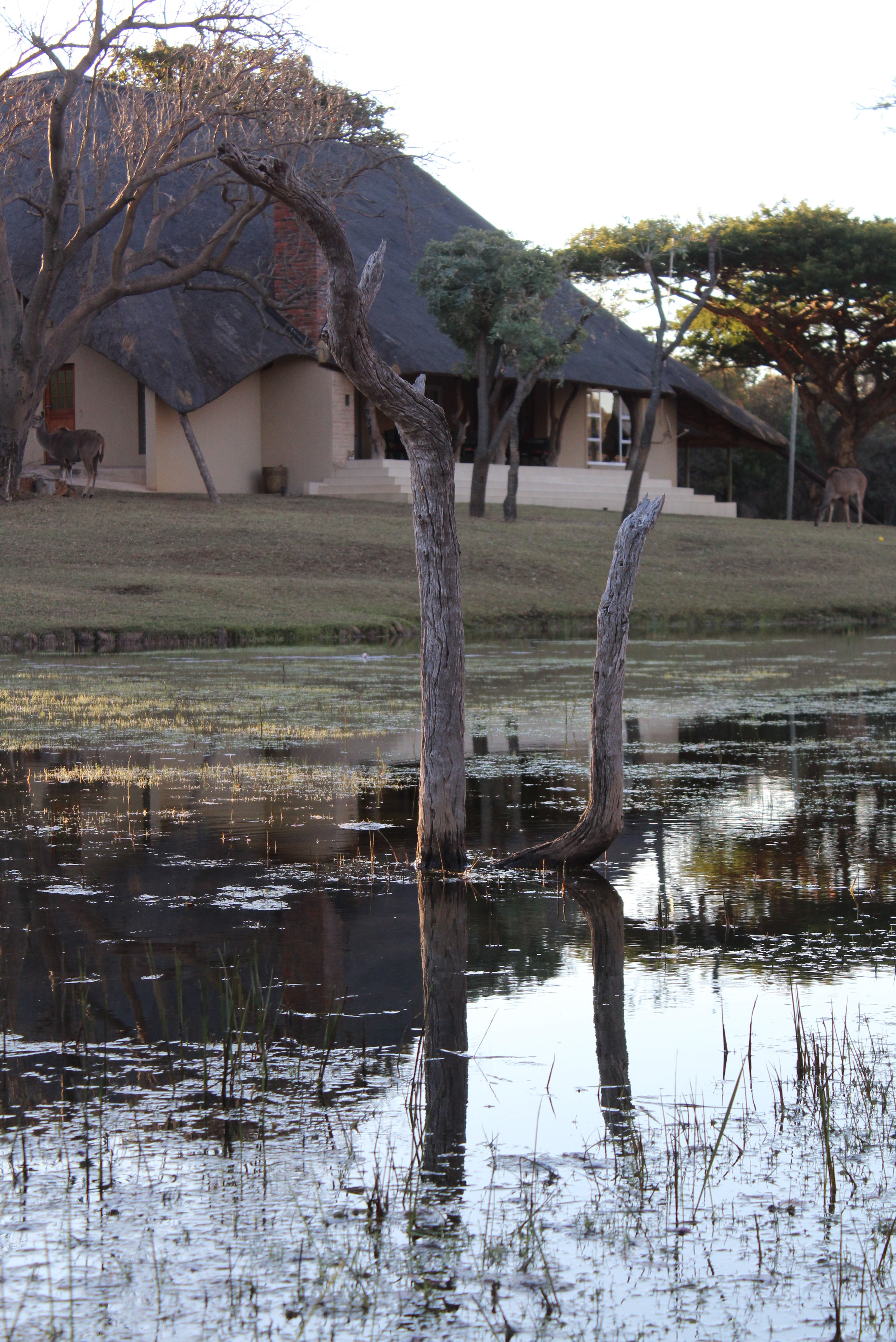 La Barune Game Lodge-浴室