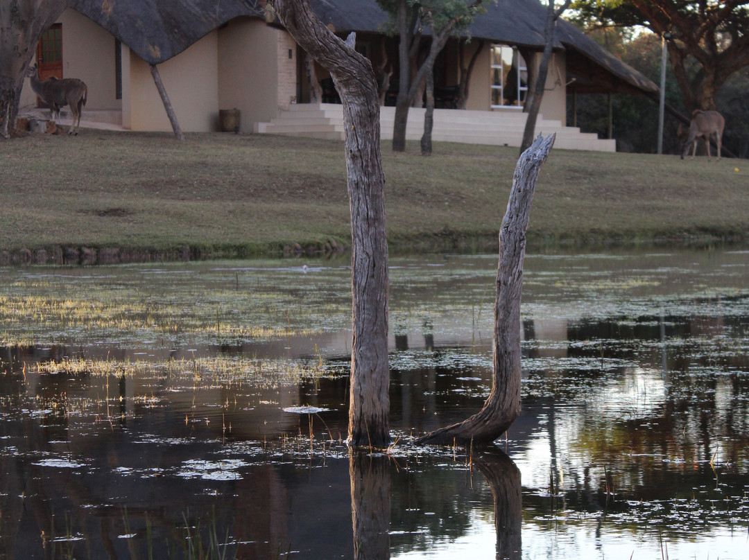 La Barune Game Lodge主图