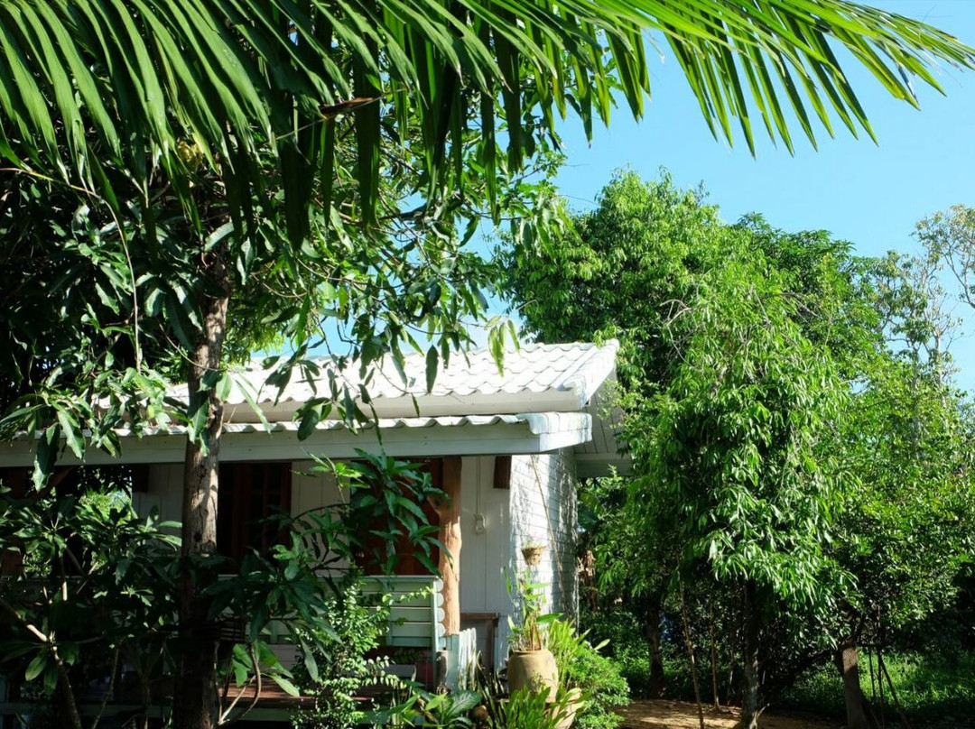 BaanSuan Resort & coffee