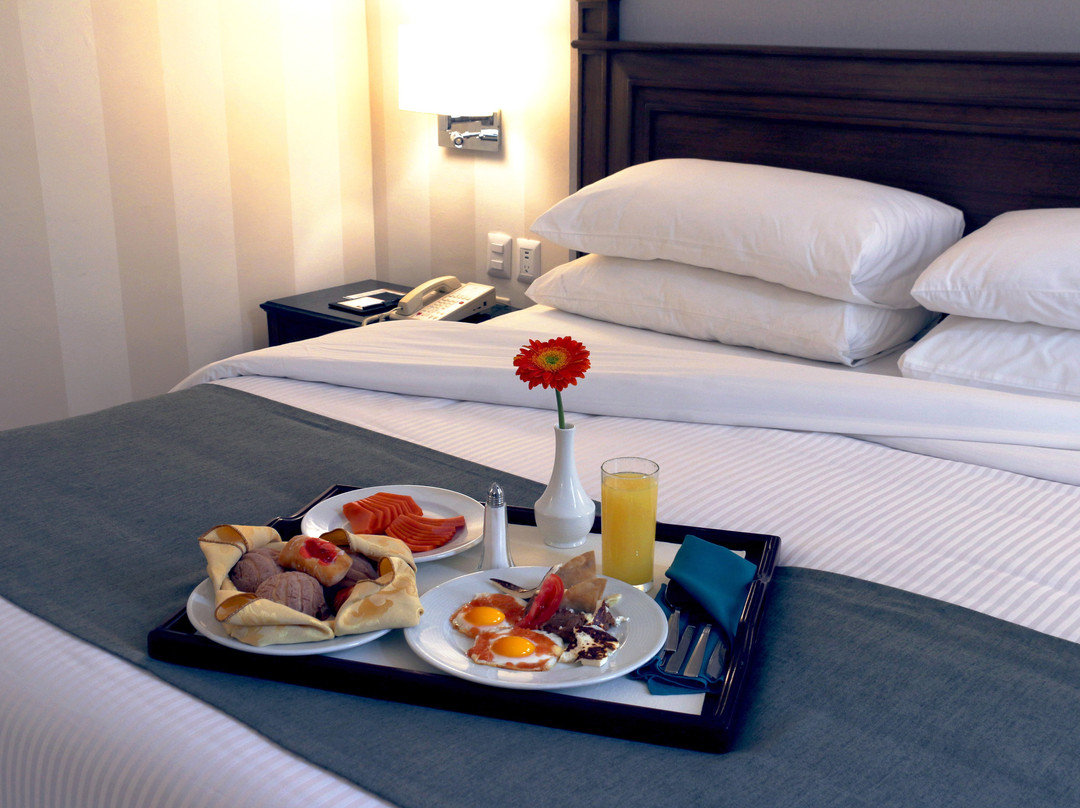 Gamma Monterrey Gran Hotel Ancira主图